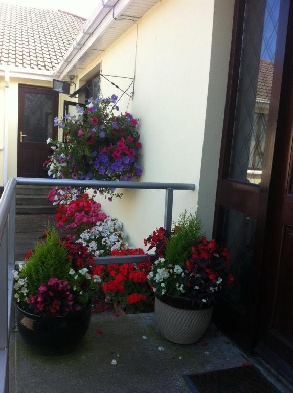 Hillview House Hotel Lusk Екстериор снимка